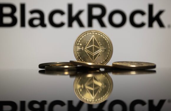 BlackRock CEO Endorses Bitcoin as Investment to Escape Pessimism
