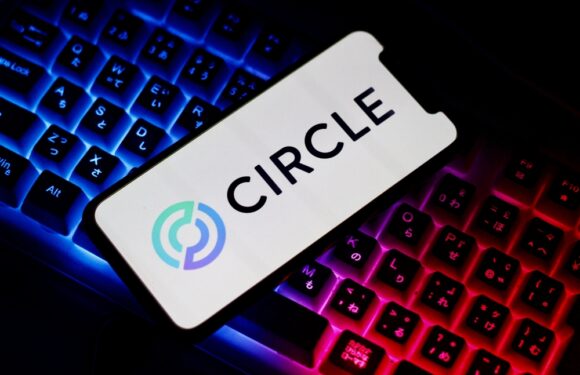 Circle Authorized to Offer Stablecoin in EU Under MiCA Rule