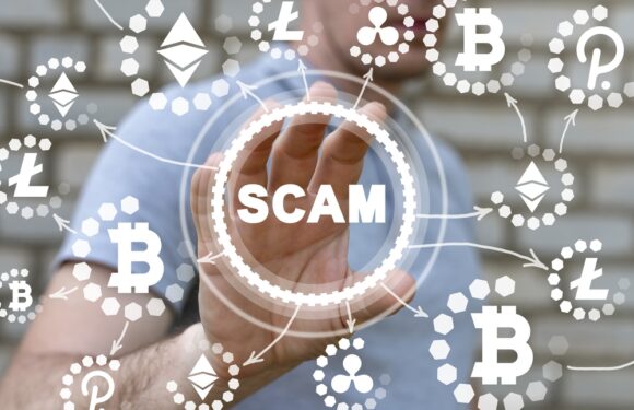 A  Comprehensive Guide on How to Identify Crypto Scam