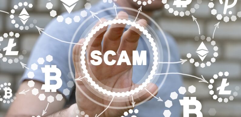 A  Comprehensive Guide on How to Identify Crypto Scam