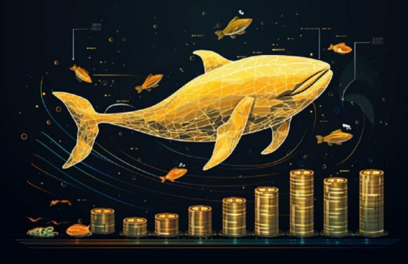 Crypto Whale Actions Trigger Market Fluctuations: Here’s How