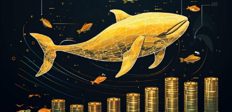 Crypto Whale Actions Trigger Market Fluctuations: Here’s How