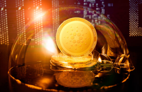 Sagard Advisors Review  – Is Sagard-Advisors.co a Scam or a Trusted Broker?