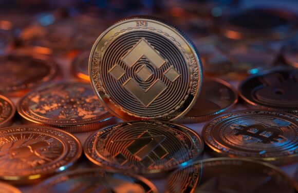 Viforex Review – Is Viforex.com a Scam or a Trusted Broker?