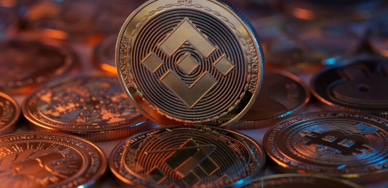 Viforex Review – Is Viforex.com a Scam or a Trusted Broker?