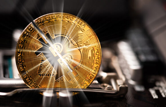 DeltaGains Review – Is DeltaGains.com a Scam or a Trusted Broker?