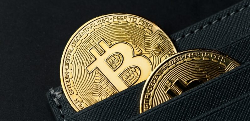 Wealth Trust Capital Review – Trade With This Multifaceted Broker Platform Wealth Trust Capital (EN) 4