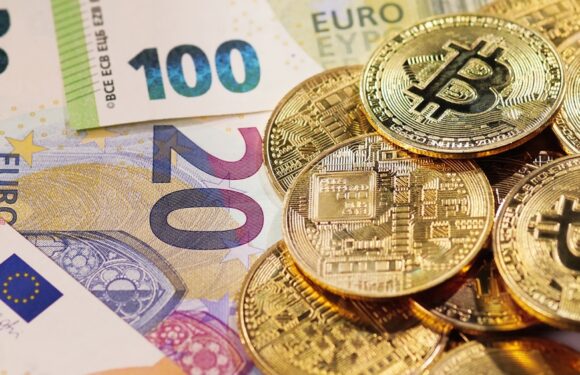 Finimperial Review – Trade Like a Pro With This Broker